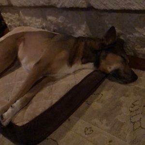 Meet your Posher, Bill